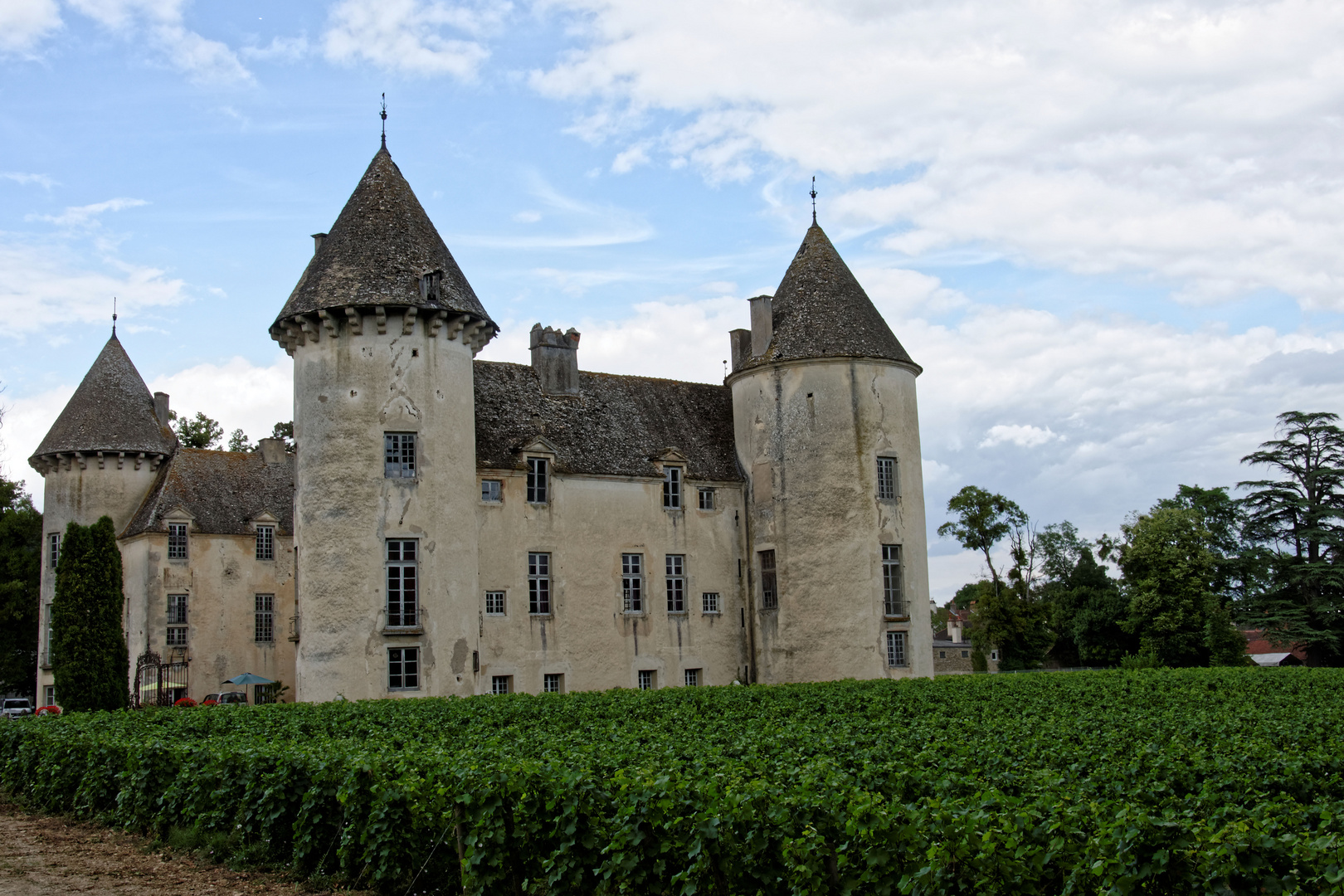 59160146 - Savigny Les Beaune - Château et musées 