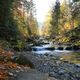 Herbst am Wildbach