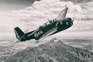 Grumman TBM Avenger von Uwe Mochel 