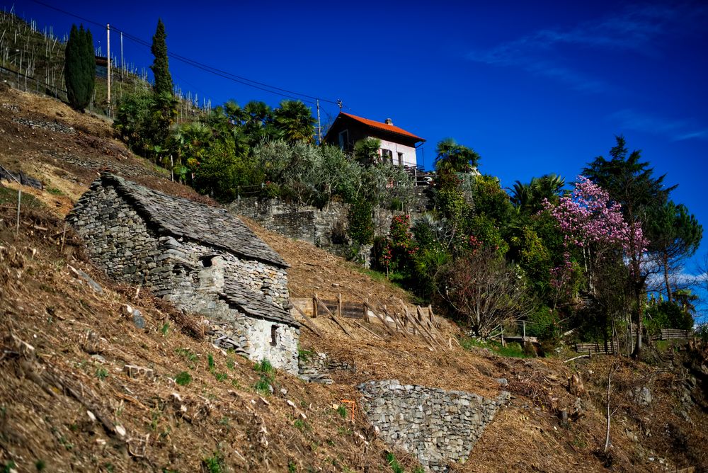 Frühling im Tessin von Marco Camenisch