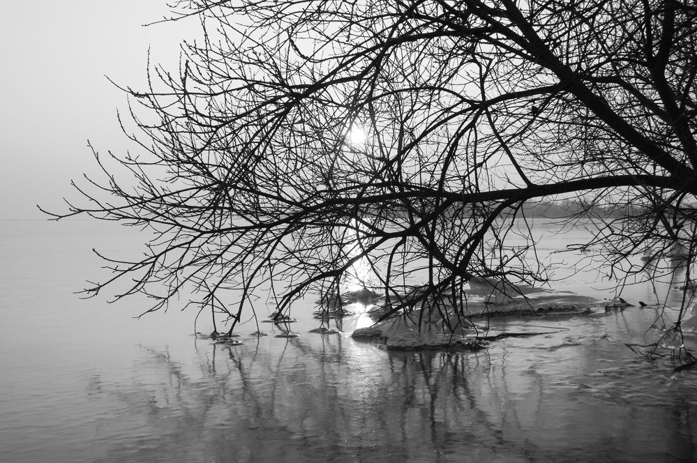 Sun and ice in Schwarzweiß (black and white) von Sven Segler 