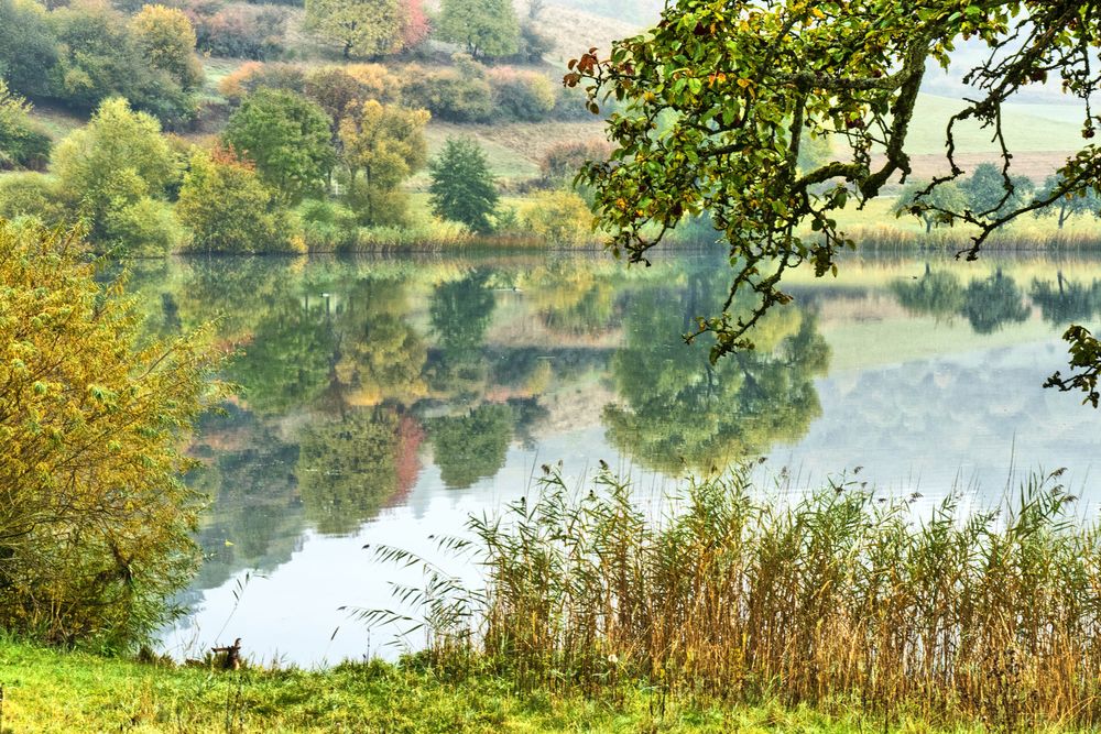 Spiegelungen am Schalkenmehrener Maar von Wolfgang Piepers