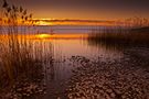 Chiemsee im Licht von Helmut Portenkirchner