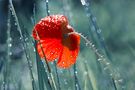 diamond rain von Zaubergrafie Photoart 