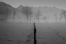 Feld im Nebel von Rainer Gilgen