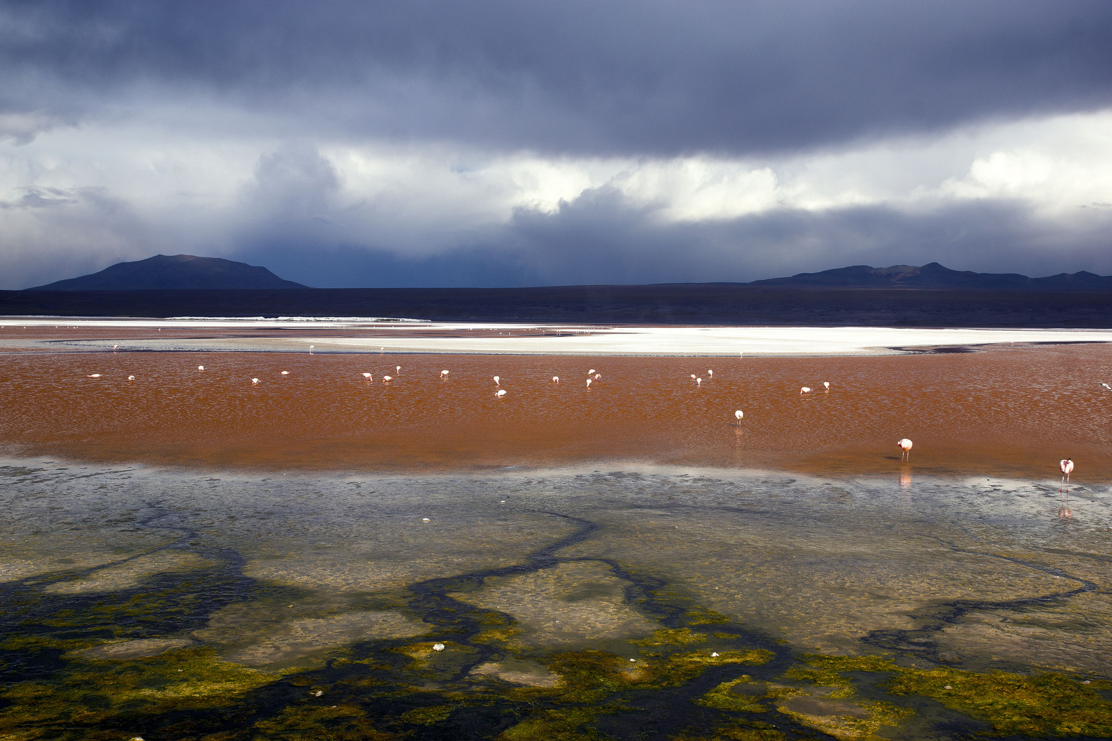 5_Bolivia_Day 1 (36)