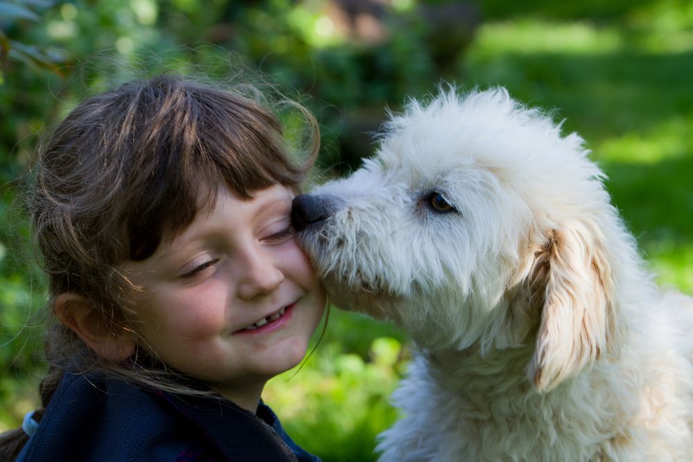 Hannah & Chester by Daniel 33 Stanke 