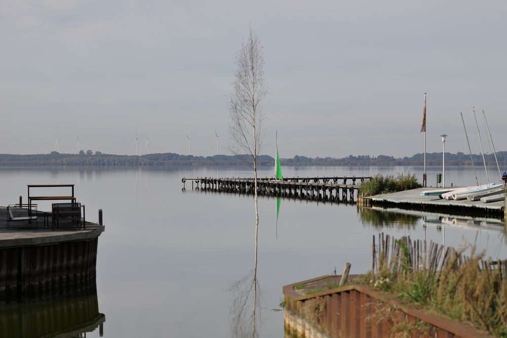 Frühmorgens am Dümmersee von davidrawling