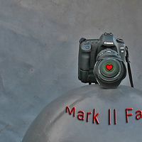 5D Mark II Fan