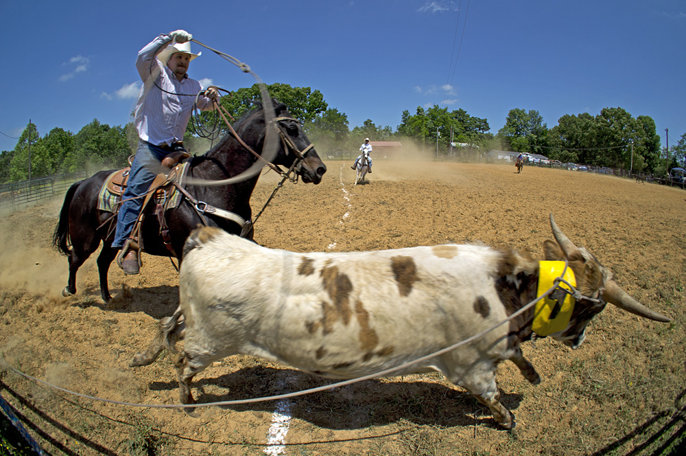 Rodeo von Bär Tig