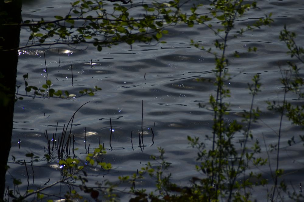 Wasserreflektion von Rainer Lüneberg