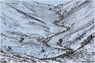 Winter in den Cairngorms by Ferry Böhme - FerryFotoBruck 