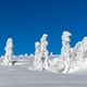 Auf dem Weg zur Schneekoppe