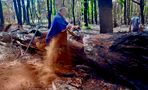 Timber Worker Lumberjack "01" de hgphpotography