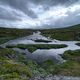 Hardangervidda-Hochebene