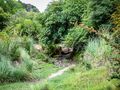 Sendero serrano by Roberto Justo Robiolo