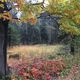 Herbstimpression 2