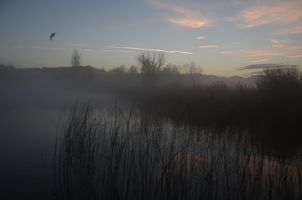 Es wird ein schöner Tag, der Nebel flieht! von Doris Wepfer 