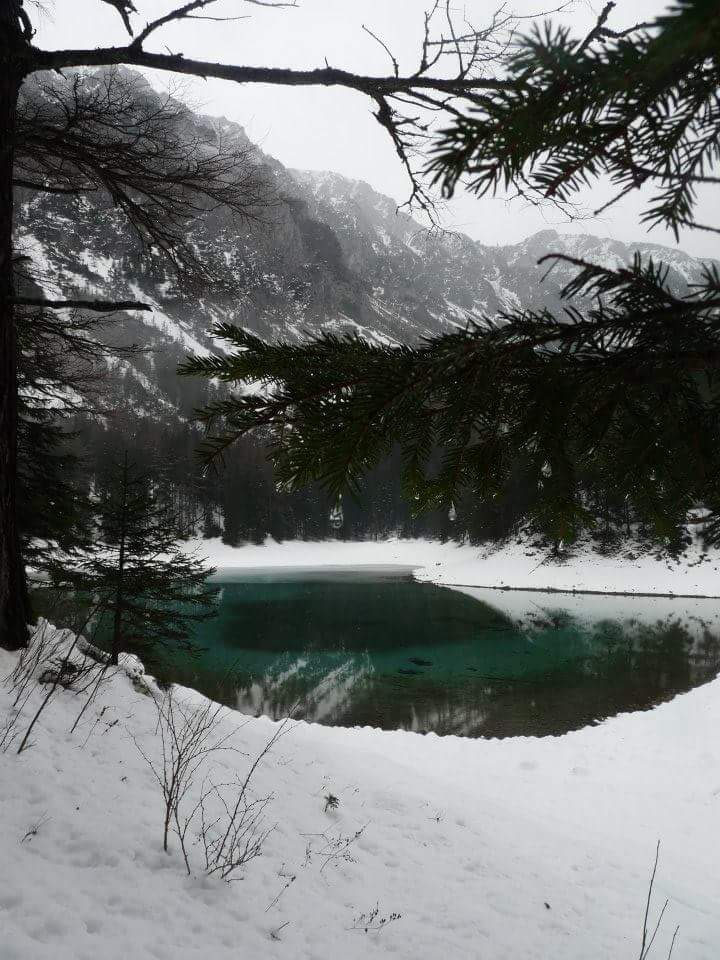 Grüner See von DanielaI