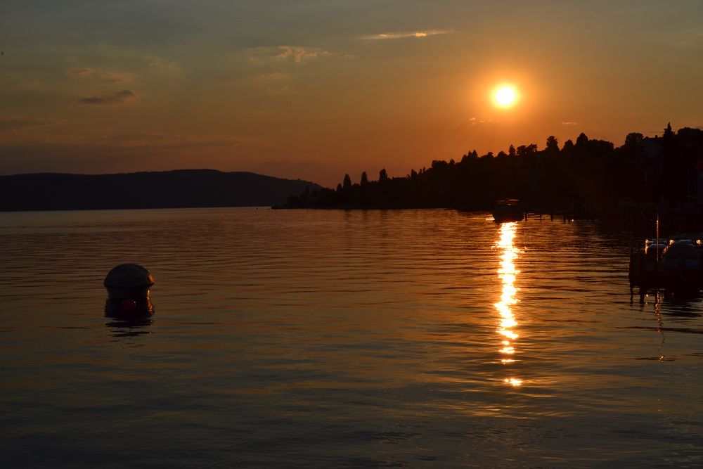 Bodensee von Leachim Relguk