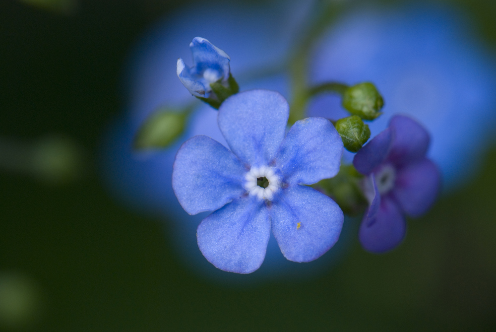 5mm schönstes Blau