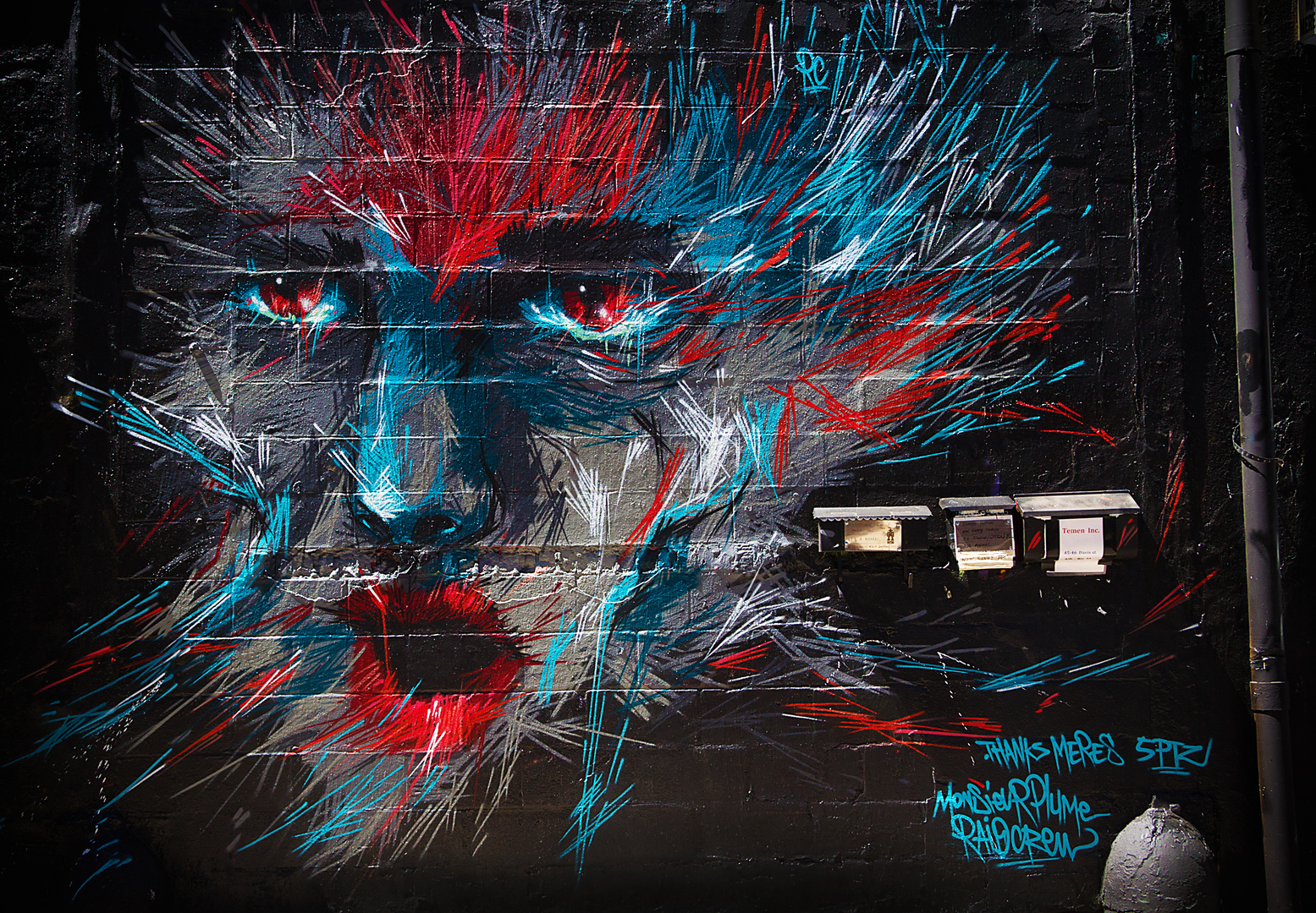 5Pointz Grafitti