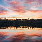 6. August 2015 6:10 Weinfelder Maar, Eifel