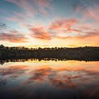 6. August 2015 6:15 Weinfelder Maar, Eifel