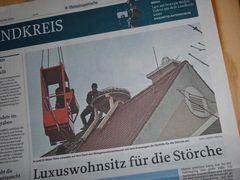 (6) Die Störche sind zurück ...