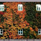 6 Fenster, 6 Jahrzehnte zur Auswahl