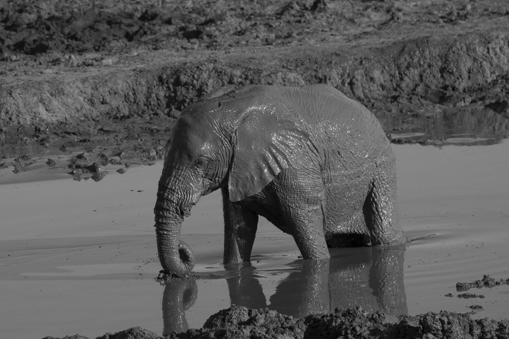  6 Impressionen Madikwe, Südafrika