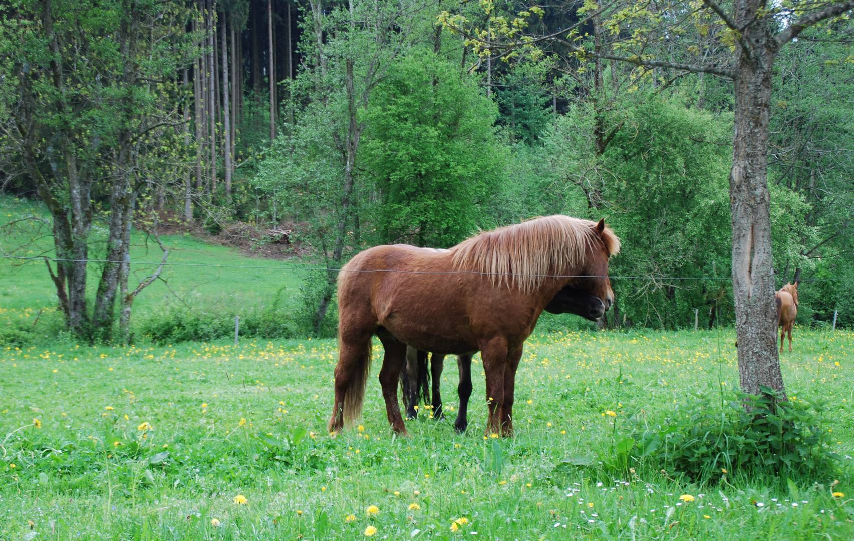 6,, Küsschen