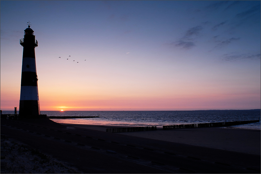 6 seagulls & the lighthouse