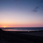 6 seagulls & the lighthouse