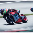 *#6# STEFAN BRADL*