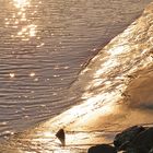 6 Uhr, Am Elbstrand Geesthacht