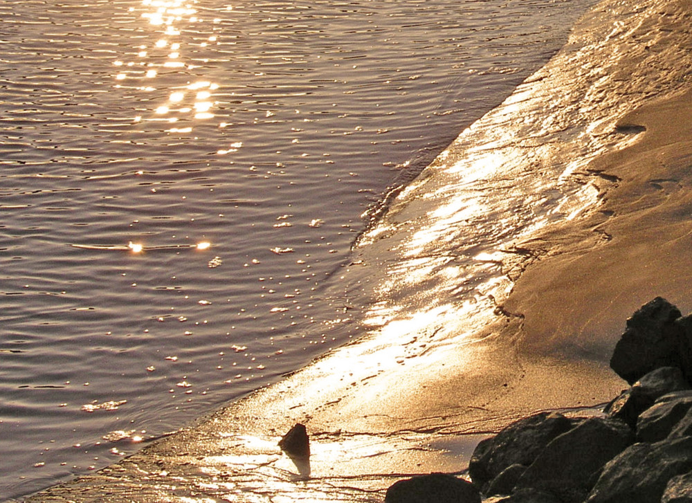 6 Uhr, Am Elbstrand Geesthacht