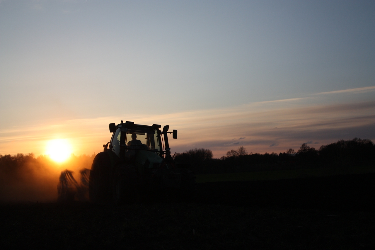 6 Zylinder Richtung Sonnenuntergang, that's freedom