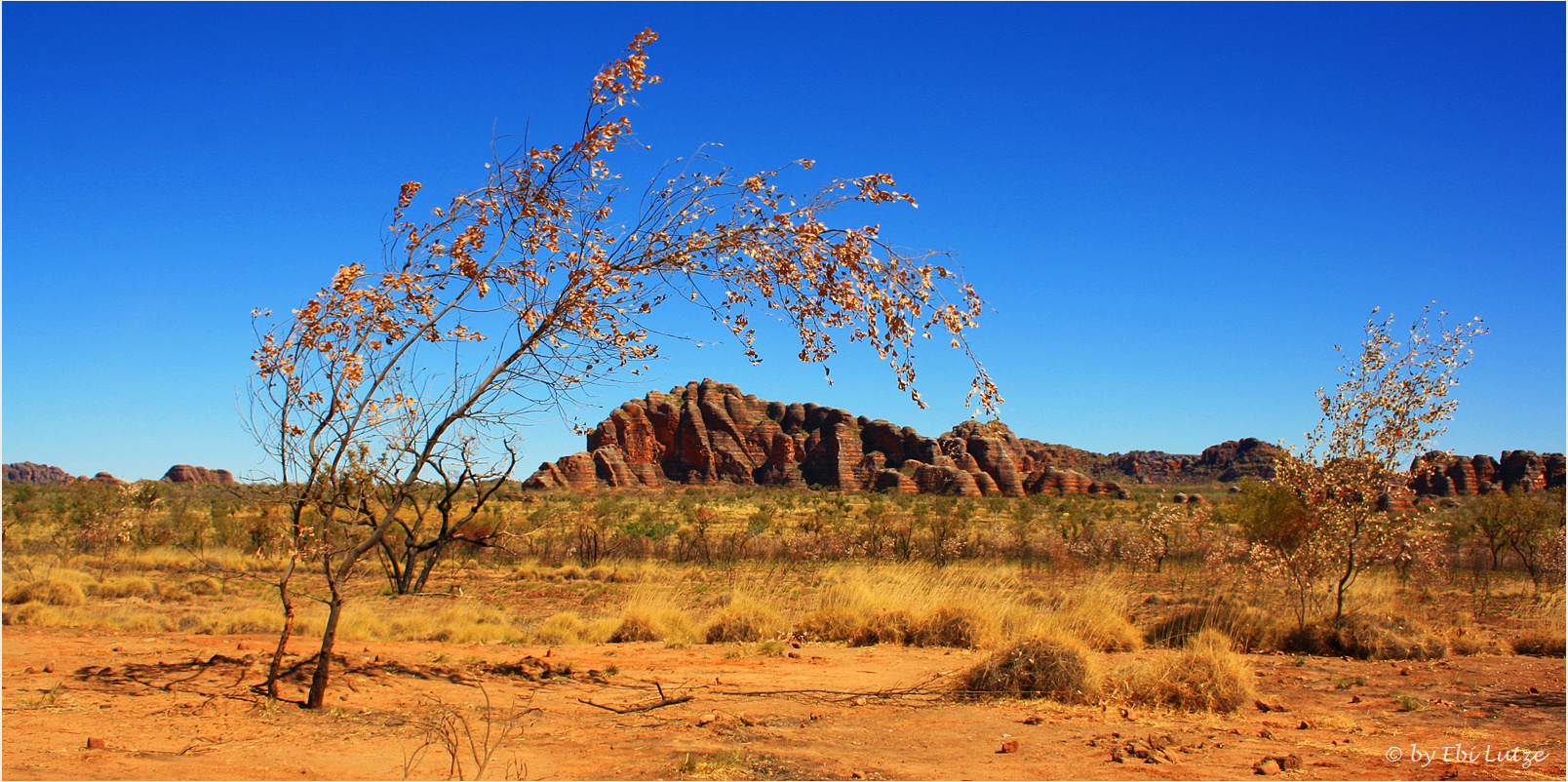 60 0000 Years in the making / Bee Hives at the Bungle Bungle