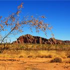 60 0000 Years in the making / Bee Hives at the Bungle Bungle