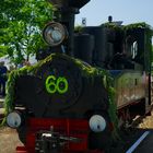 60 Jahre Cottbuser Parkbahn