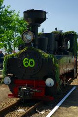 60 Jahre Cottbuser Parkbahn