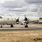 60+06 German Navy Lockheed P-3C Orion 2017.06.30 (ETNG) Geilenkirchen