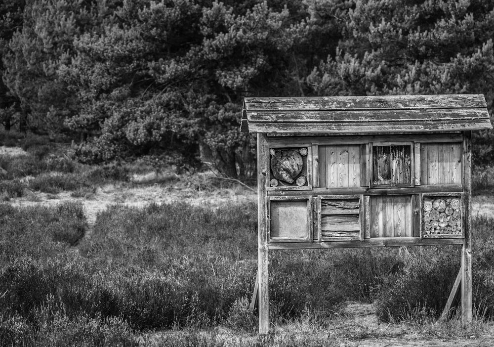 Insektenhotel von twiki 