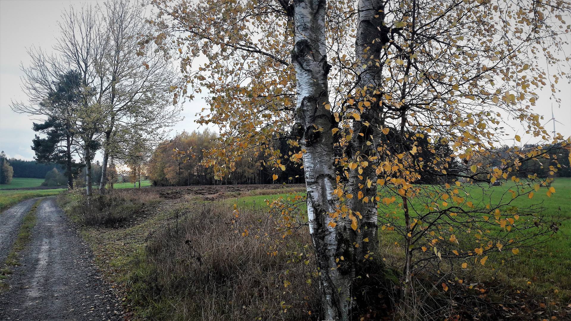 6.11.2019  Dorfausgang Lösten  Wasserscheideweg