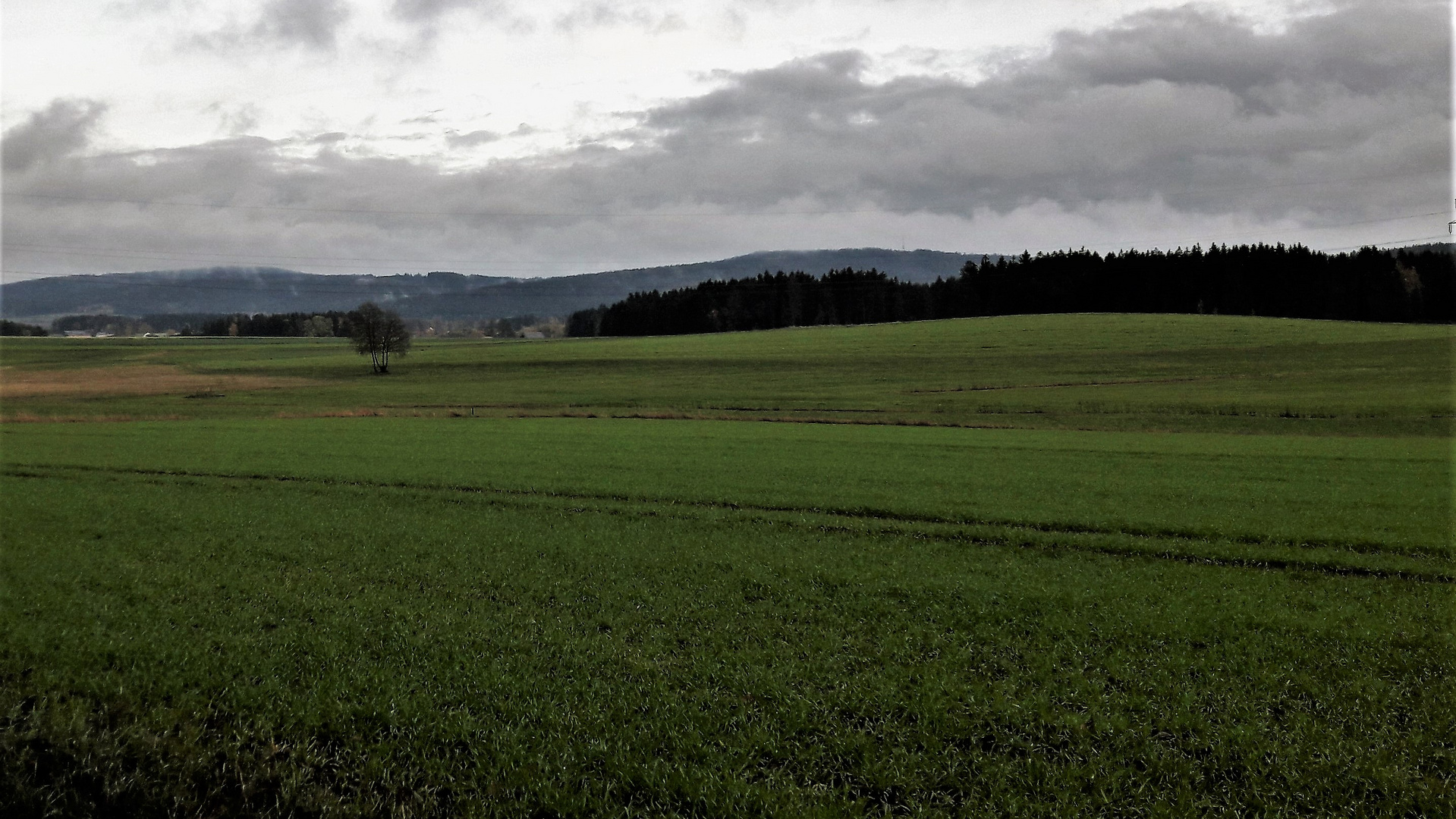 6.11.2019 Regenwolken über Wald und Wiesen