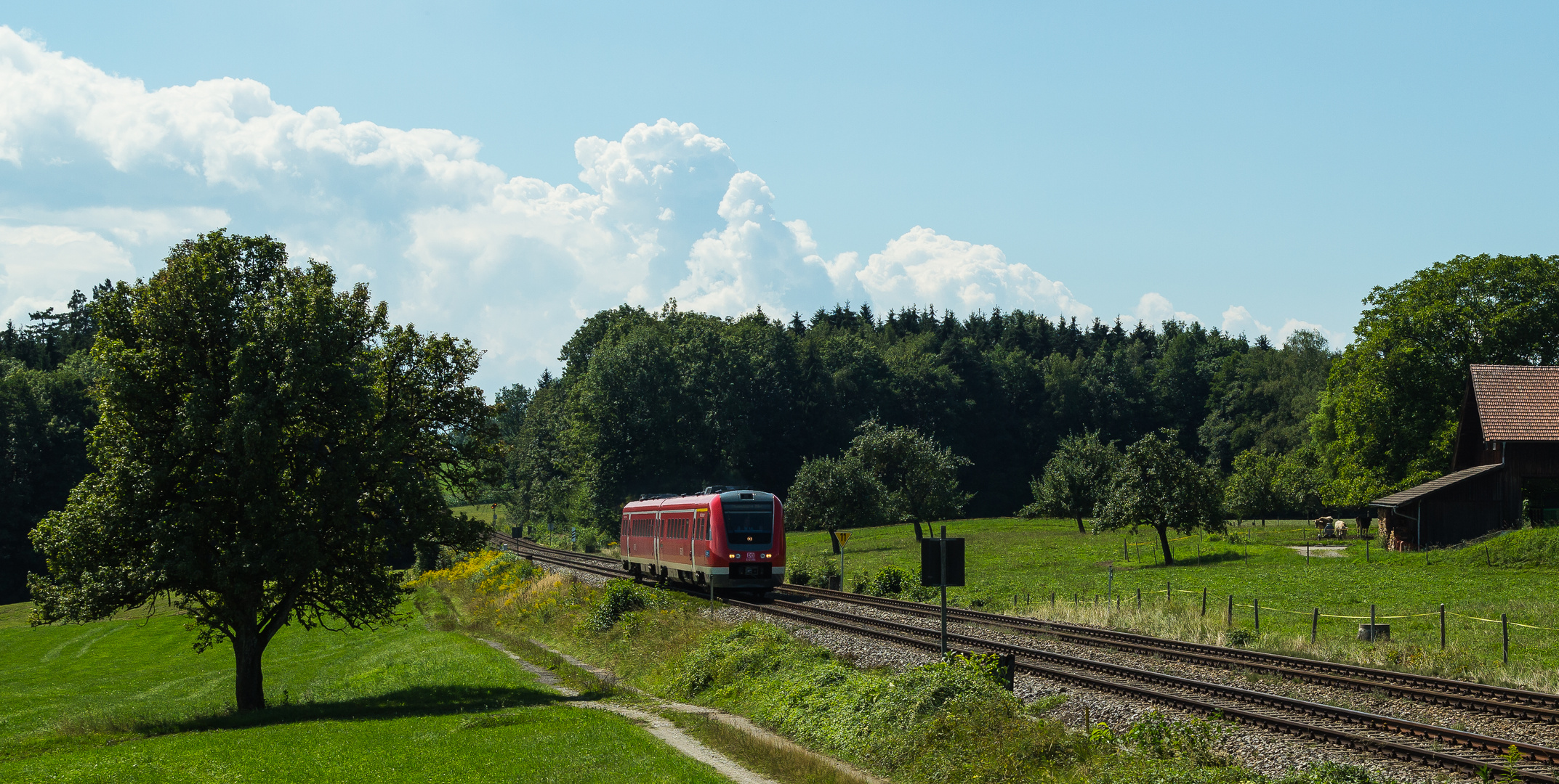 612 091 auf der Rückfahrt