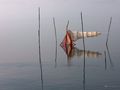 lago trasimeno by Paolo Esposito 