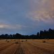 Nach dem abendlichen Sommerregen