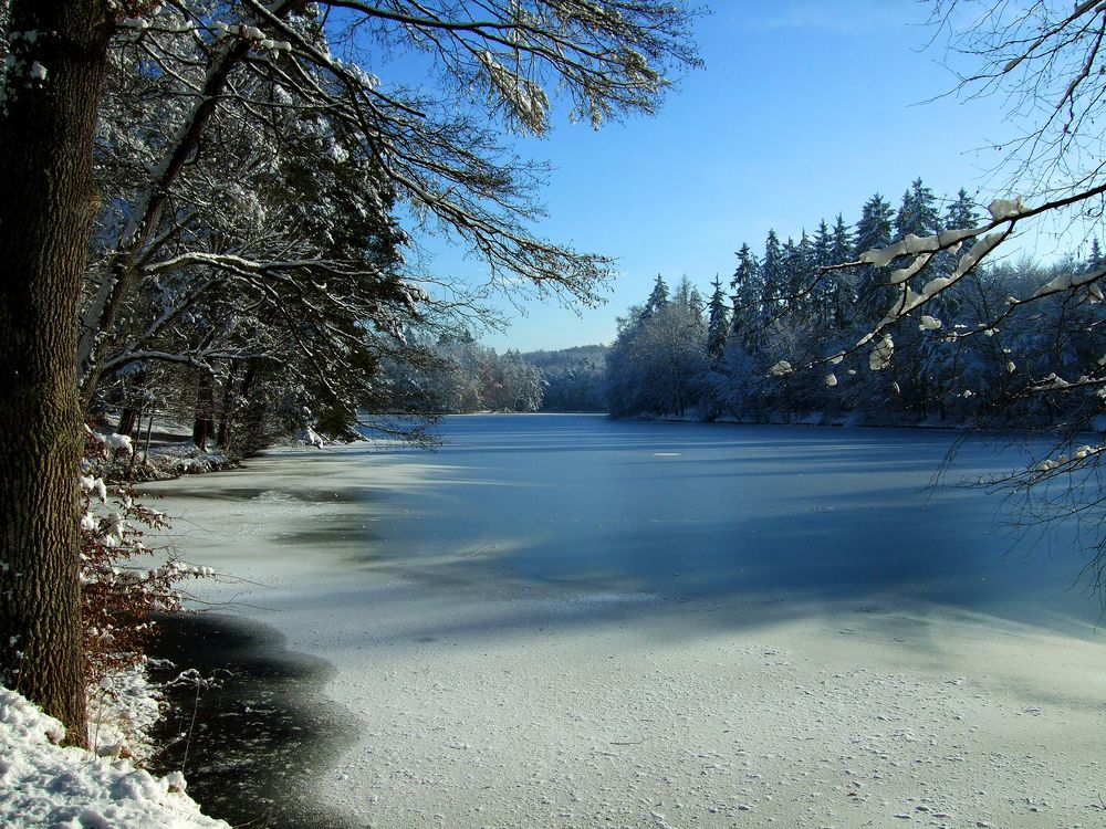 Winter von Xälzkeks